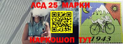 спайс Аргун