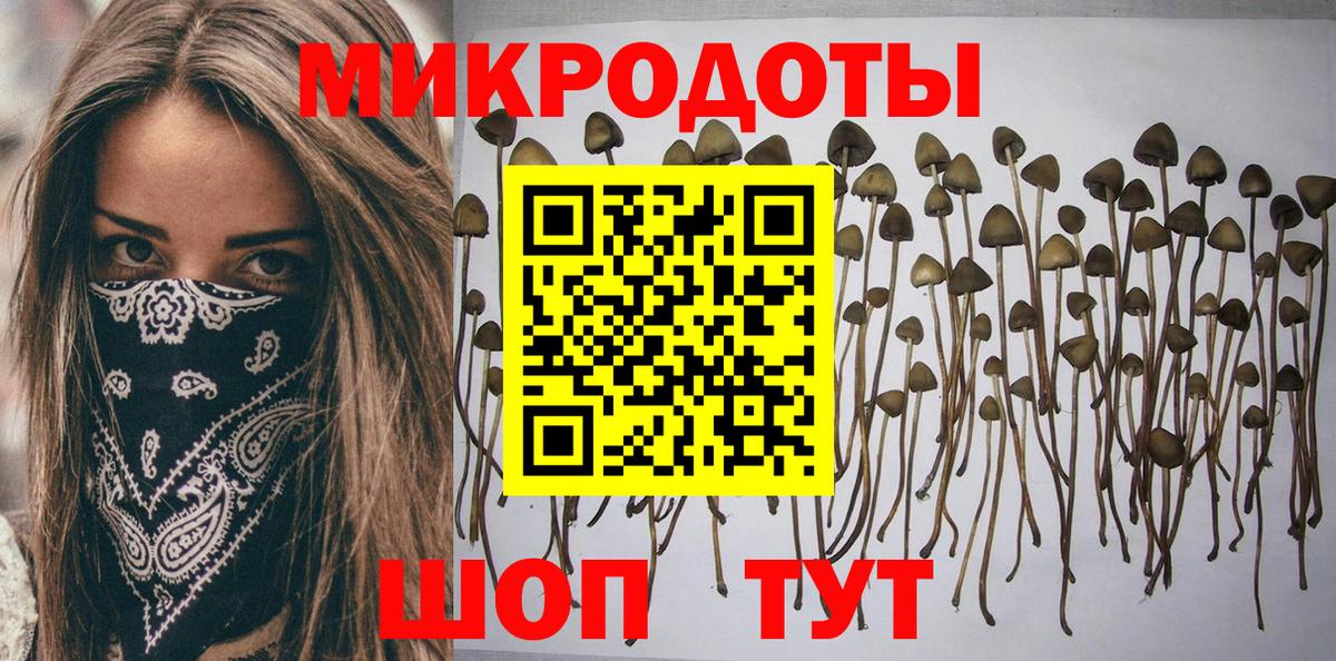 Владимир  Галлюциногенные грибы ЛСД  Вход с VPN 