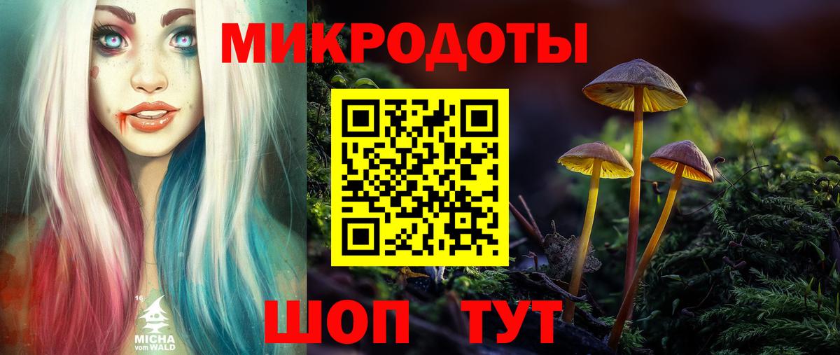 Галлюциногенные грибы мухоморы Владимир